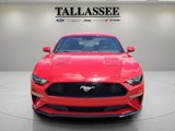 Used 2023 Ford Mustang Premium image 2