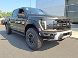New 2025 Ford F150 Raptor image 2