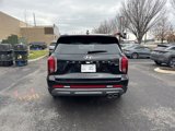 New 2025 Hyundai Palisade SEL image 4