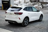 Used 2024 Ford Escape ST-Line w/ Tech Pack #1 image 5