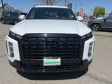 New 2025 Hyundai Palisade Calligraphy image 2