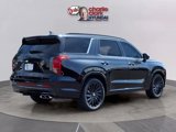 New 2025 Hyundai Palisade Calligraphy image 5