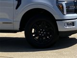 New 2025 Ford F150 Platinum w/ Equipment Group 702A High image 3