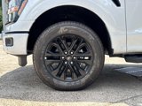 New 2025 Ford F150 XLT image 3