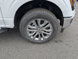 New 2025 Ford F150 XLT w/ Equipment Group 302A MID image 6