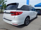 Certified 2024 Honda Odyssey EX-L image 3