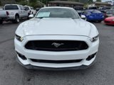 Used 2017 Ford Mustang GT w/ GT Performance Package image 6