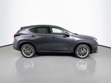 New 2025 Lexus NX 350 AWD w/ Premium Package image 4