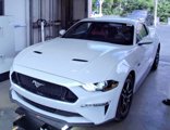 Used 2020 Ford Mustang GT w/ Equipment Group 301A image 2