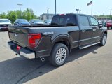 New 2025 Ford F150 XLT image 3