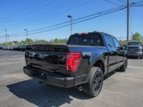 New 2025 Ford F150 Platinum w/ Equipment Group 702A High image 3