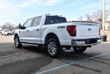 New 2025 Ford F150 XLT w/ Equipment Group 303A High image 6