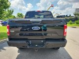 Used 2019 Ford F150 XL w/ Equipment Group 101A Mid image 3