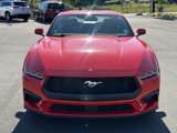 Used 2024 Ford Mustang Premium image 2