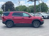 New 2026 Honda Passport TrailSport image 4