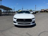 Used 2024 Ford Mustang Premium image 3