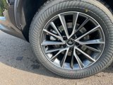 New 2026 Lexus NX 350h AWD w/ Premium Package image 6
