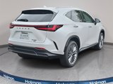 New 2025 Lexus NX 350 AWD w/ Luxury Package image 5