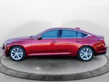 New 2025 Cadillac CT5 Premium Luxury image 4