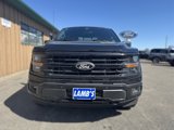 New 2025 Ford F150 XLT image 3