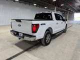Used 2024 Ford F150 XLT image 6