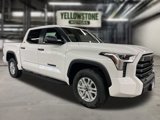 New 2025 Toyota Tundra SR5 image 6