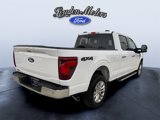 New 2025 Ford F150 XLT w/ Equipment Group 302A MID image 6