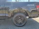 New 2025 Ford F150 STX w/ STX Black Appearance Package image 6