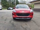 Used 2020 Ford Escape SE image 2