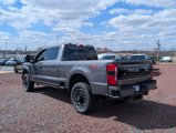 New 2025 Ford F250 Platinum image 4