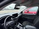 Used 2024 Ford Escape Active w/ Tech Pack #1 image 4