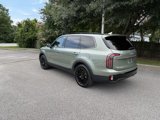 Used 2024 Kia Telluride SX Prestige X-Line image 3