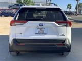 Used 2021 Toyota RAV4 LE image 5