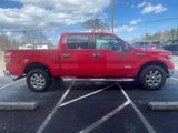 Used 2014 Ford F150 XLT w/ Equipment Group 302A Luxury image 5