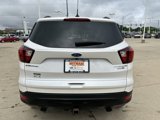 Used 2019 Ford Escape Titanium image 5