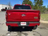 New 2025 Ford F150 XLT w/ Equipment Group 303A High image 4