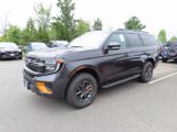 New 2025 Ford Expedition Tremor image 3