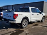 New 2025 Ford F150 XLT w/ Equipment Group 302A MID image 5
