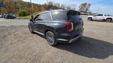 New 2025 Hyundai Palisade Calligraphy image 4