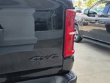 New 2025 RAM 1500 RHO w/ RHO Level 1 Equipment Group image 6