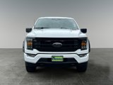 Used 2023 Ford F150 XLT w/ Equipment Group 302A High image 2