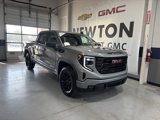 New 2025 GMC Sierra 1500 Elevation image 2