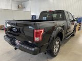 Used 2016 Ford F150 XLT w/ Equipment Group 301A Mid image 5