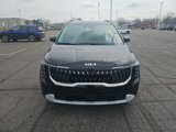 New 2025 Kia Carnival EX image 2