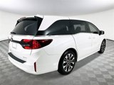 New 2025 Honda Odyssey Elite image 3