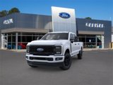New 2025 Ford F250 XL w/ STX Appearance Package image 2