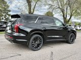 New 2025 Hyundai Palisade Calligraphy image 6