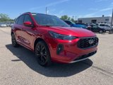 Certified 2024 Ford Escape ST-Line Elite w/ Premium Technology Package image 3