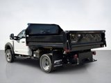 New 2025 Ford F550 4x4 Regular Cab Super Duty image 3