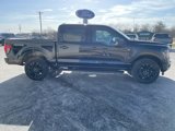 New 2025 Ford F150 XLT image 4